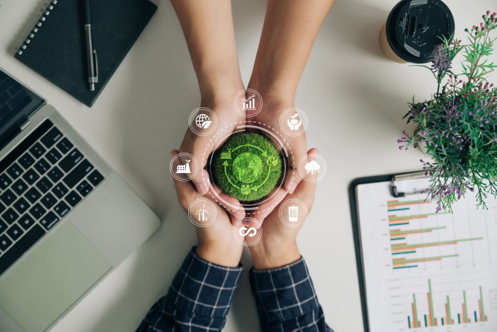 Hands holding a small plant over a work desk